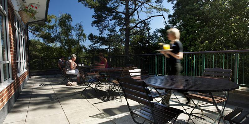 The Lodge At Meyrick Park Bournemouth Dış mekan fotoğraf